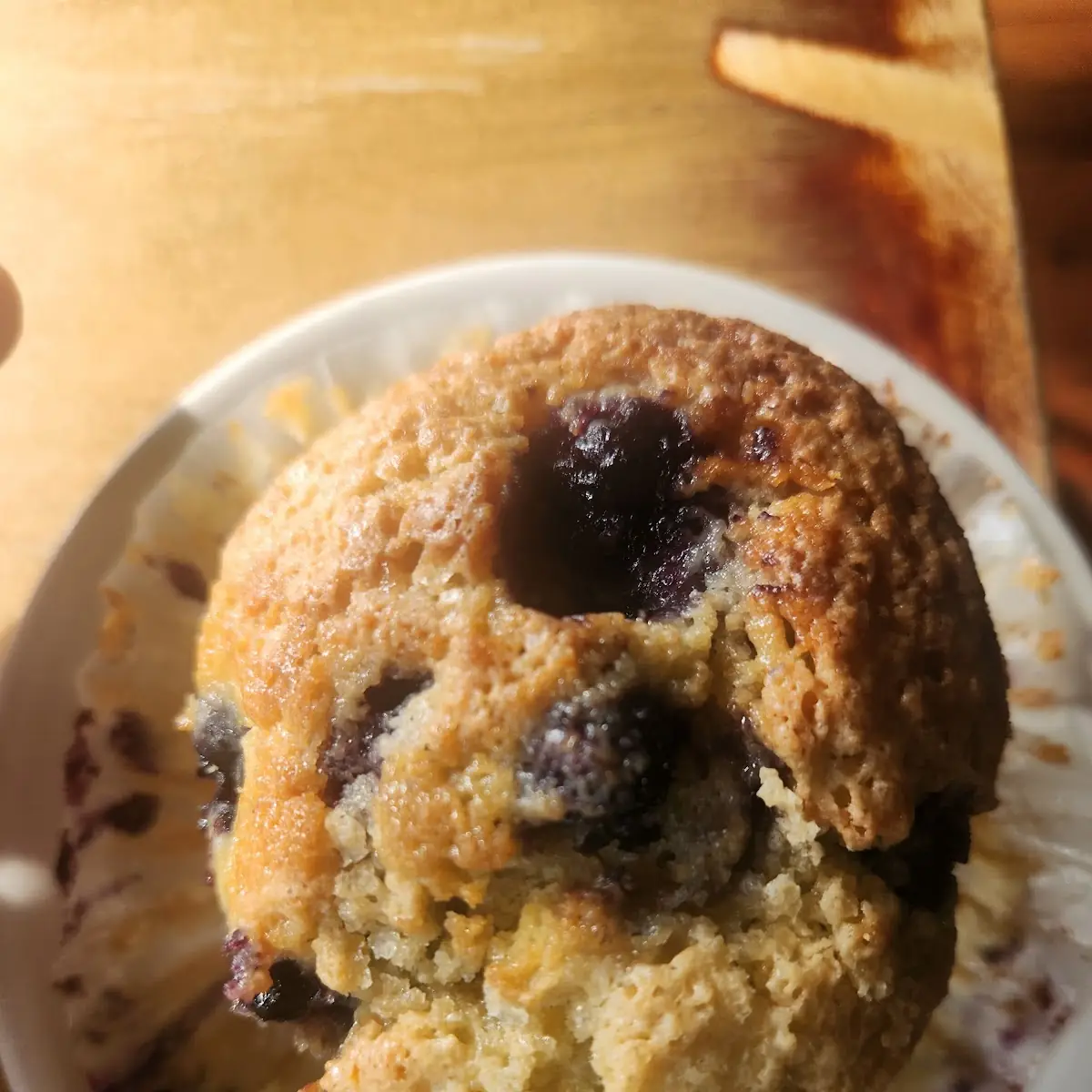 Blueberry Muffin