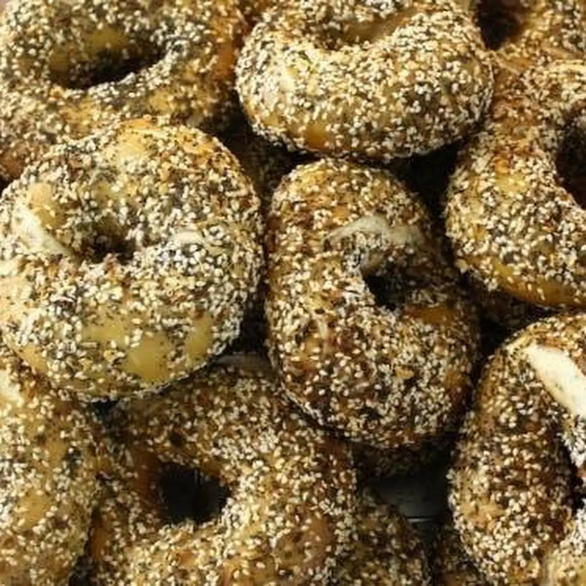 Or Bagel