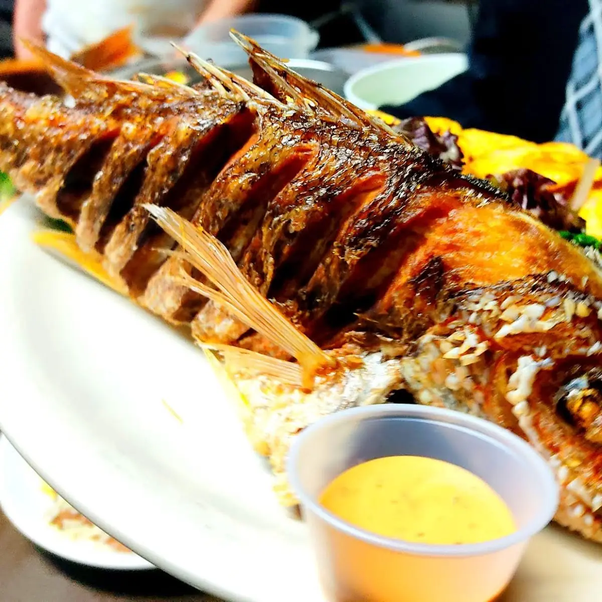 Pargo Rojo Frito Fried Red Snapper