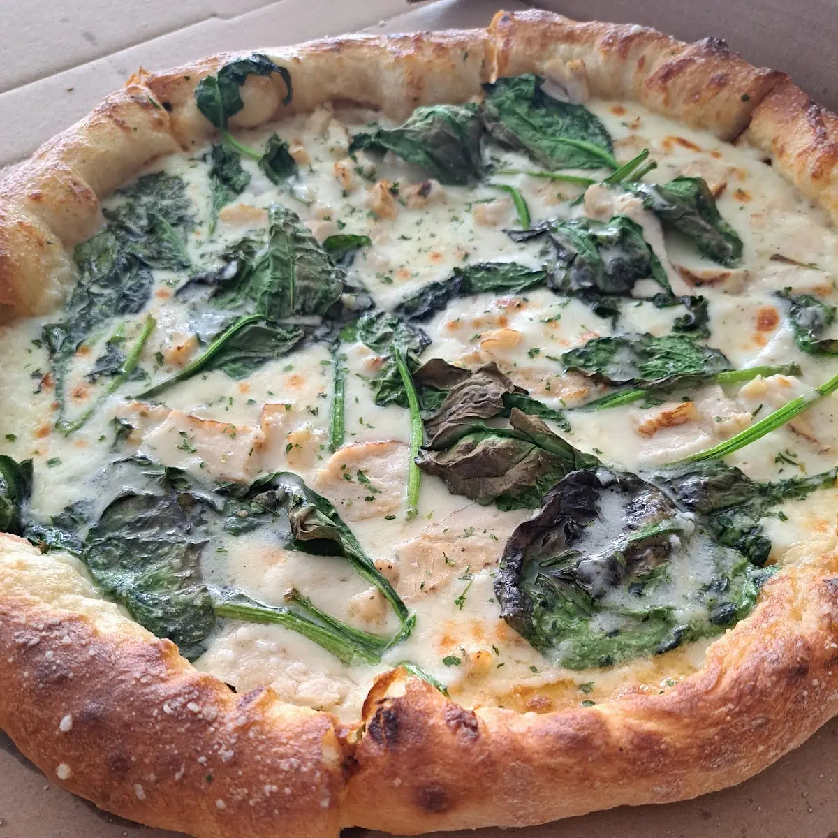 Chicken Alfredo Pizza