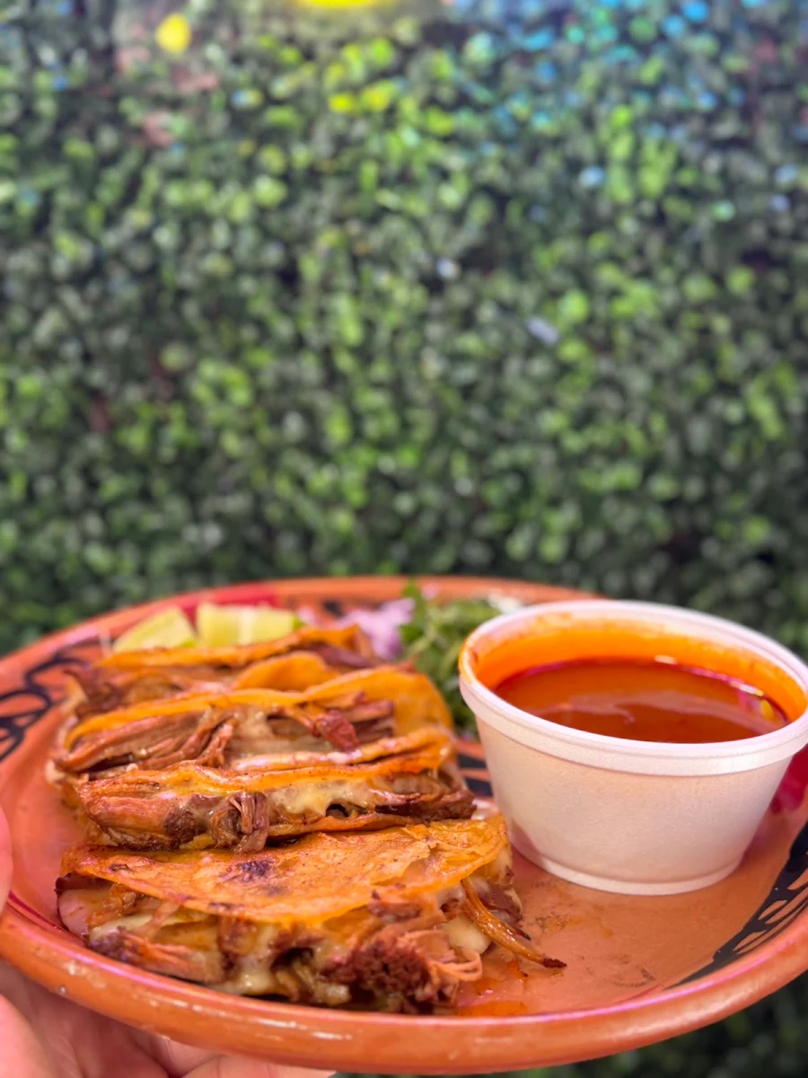 Birria Grilled Cheese