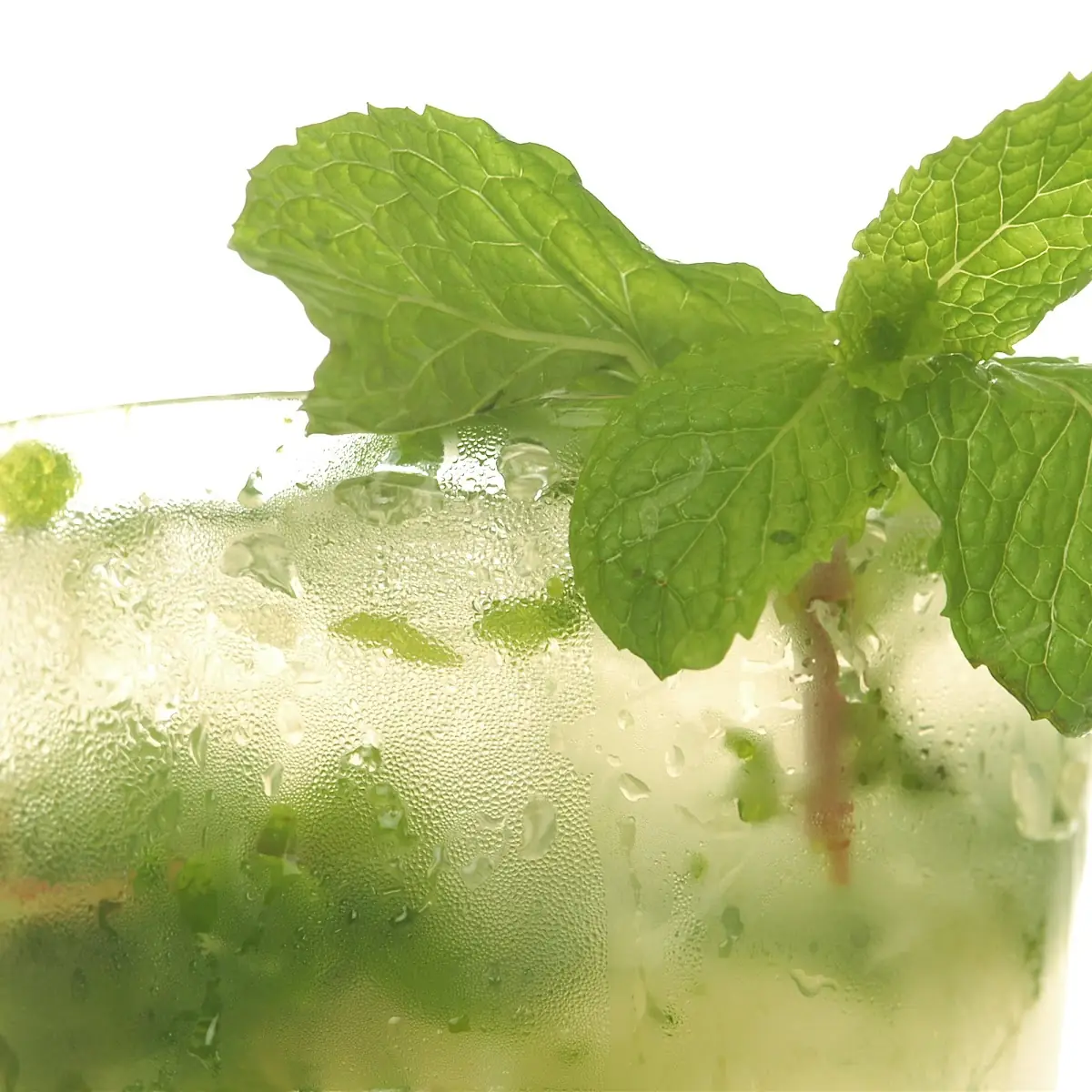 Virgin Mojito