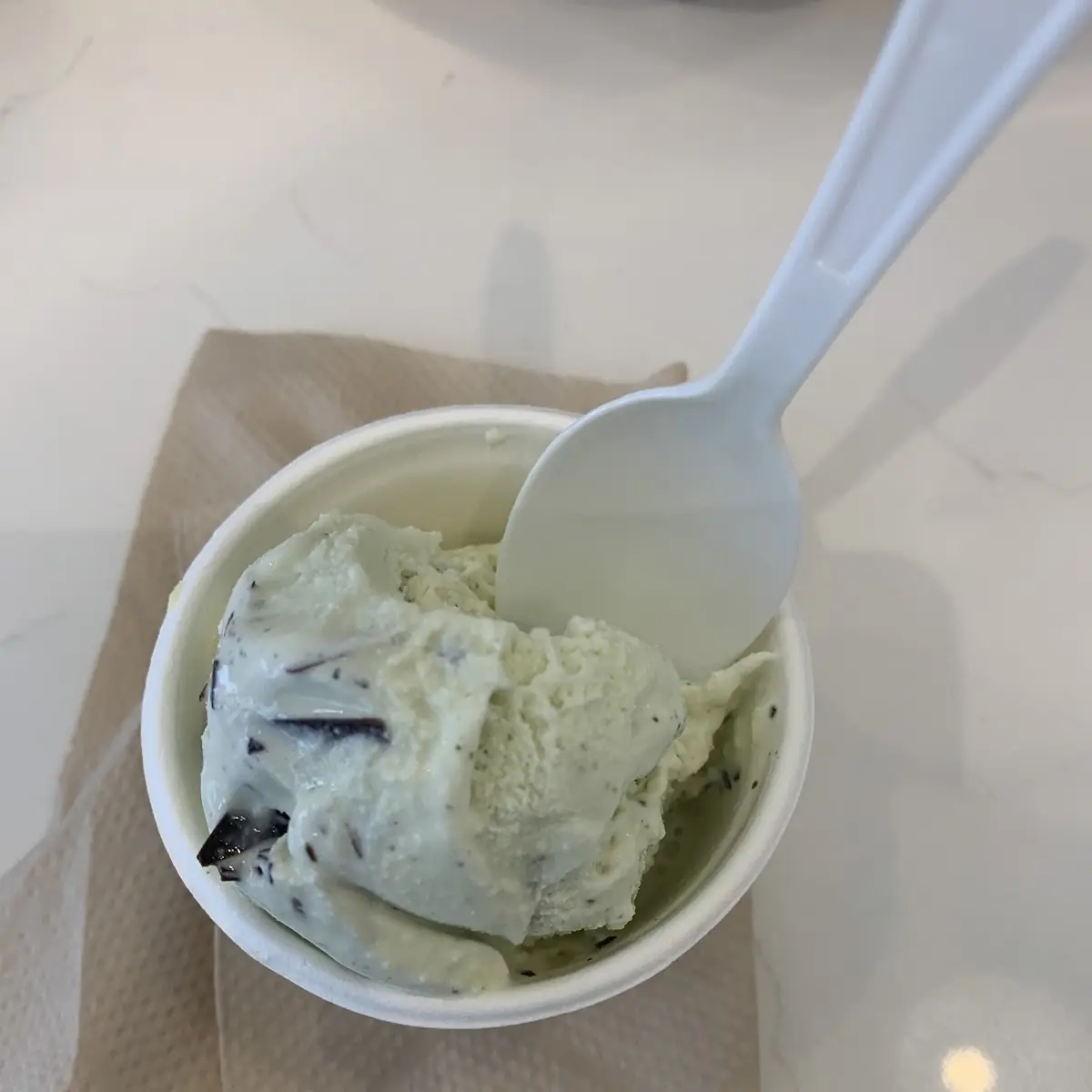 Mint Dark Chocolate