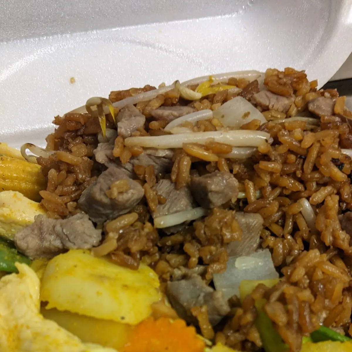 Curry Chicken with Chinese Vegetables and Beef Fried Rice