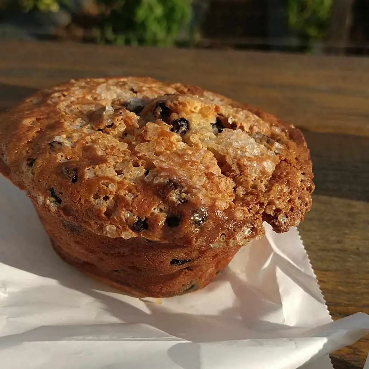 Blueberry Muffin