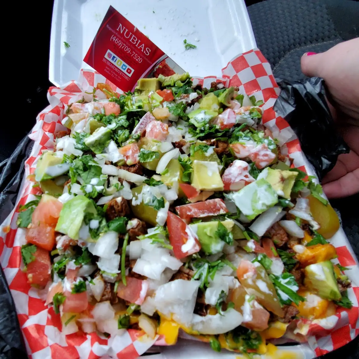 Large Carne Asada Fries
