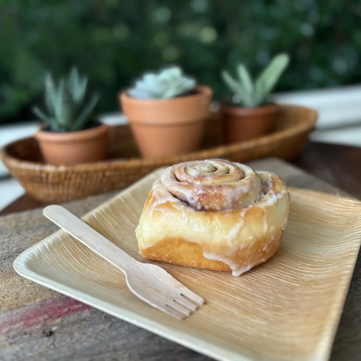 Warm Iced Cinnamon Rolls