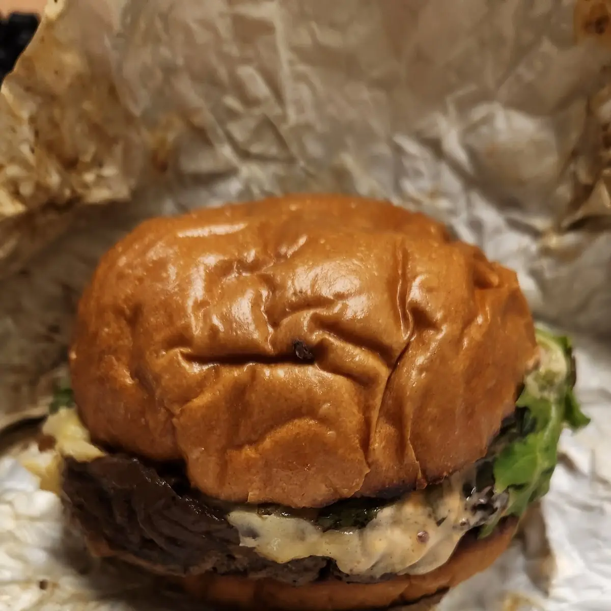 Mushroom Burger