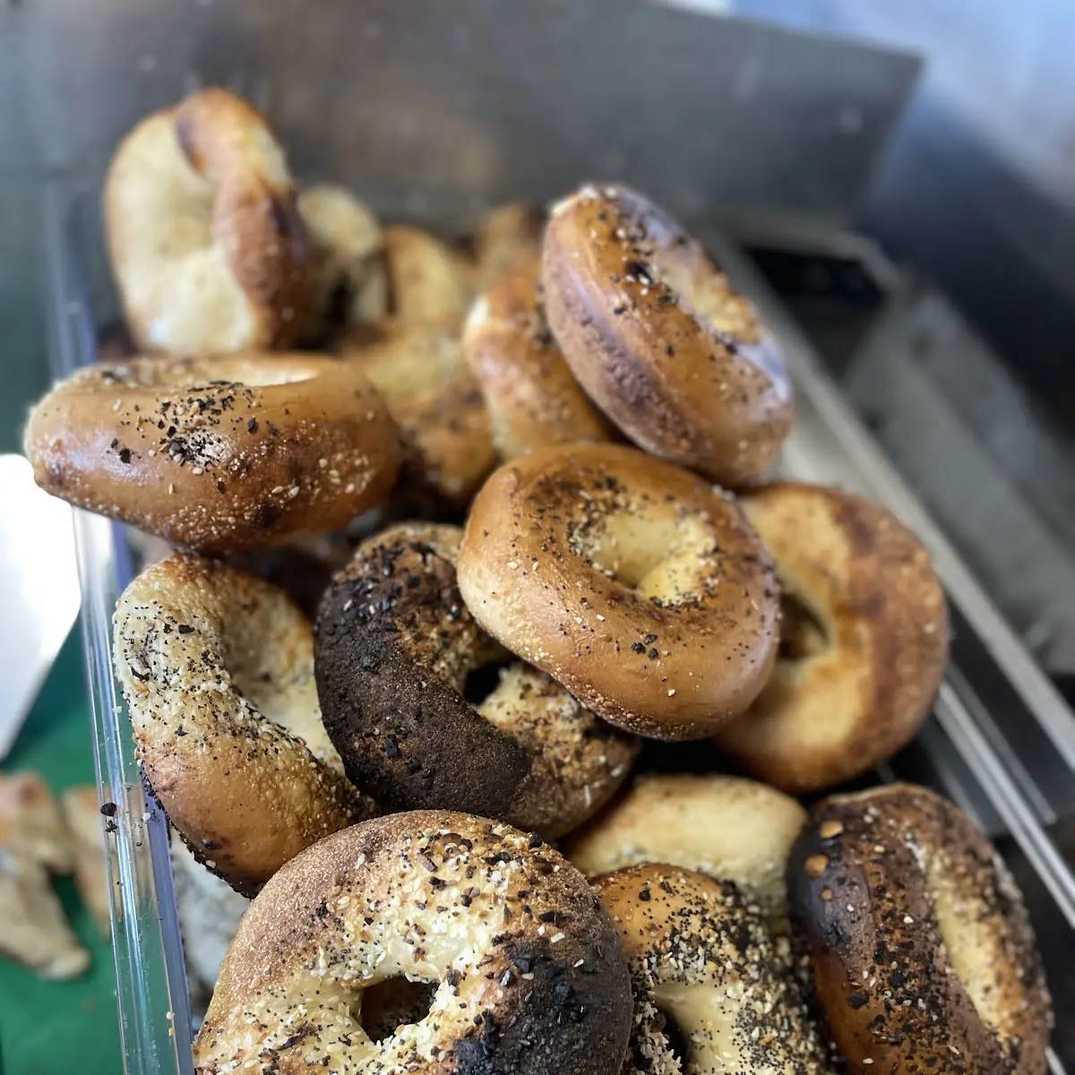 Everything Bagel