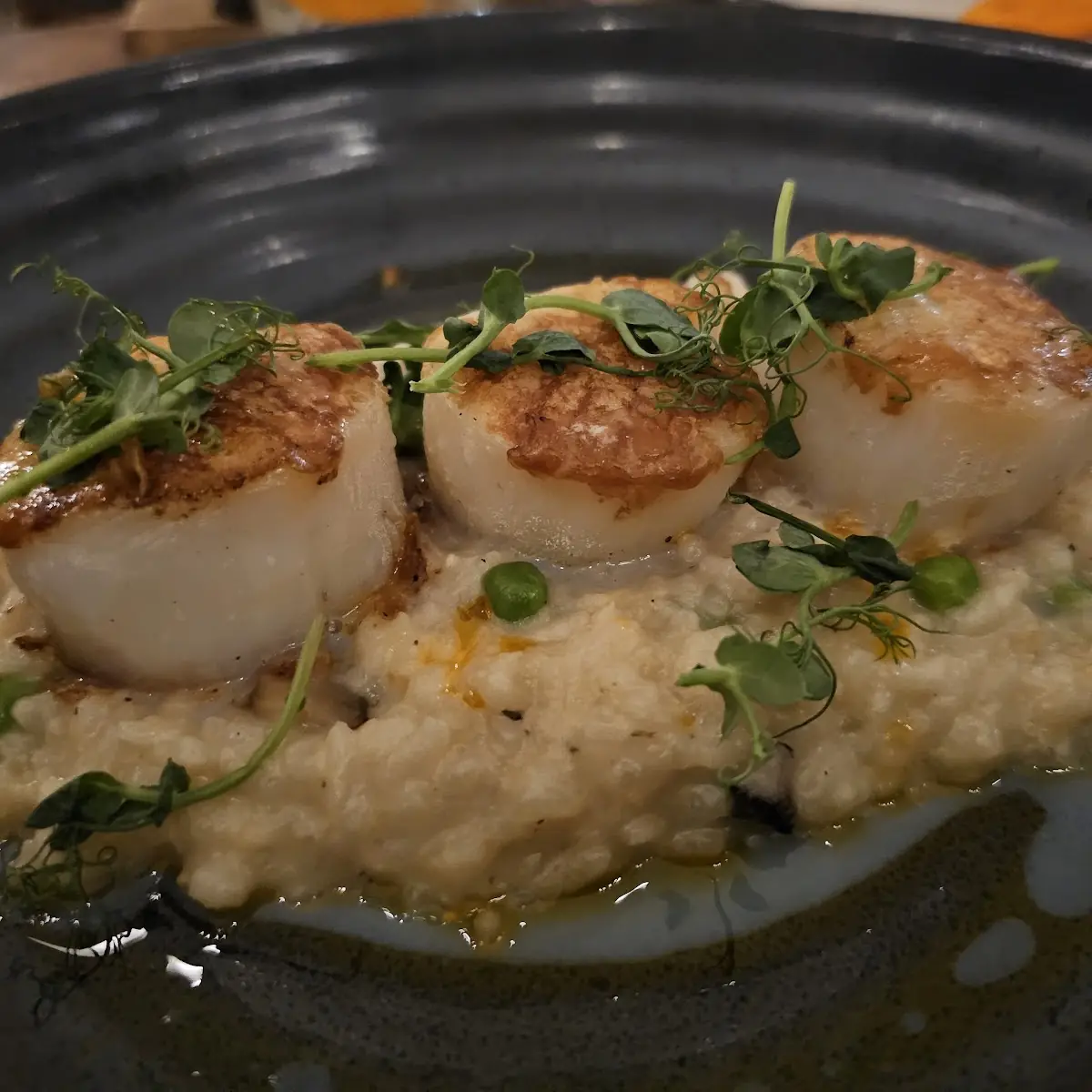 Sea Scallops and Risotto