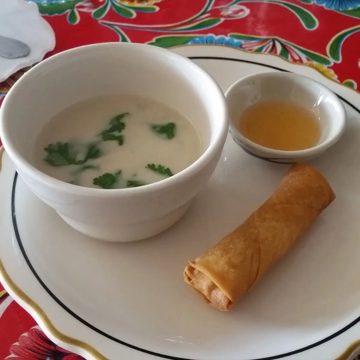 Coconut Chicken Soup and Egg Roll