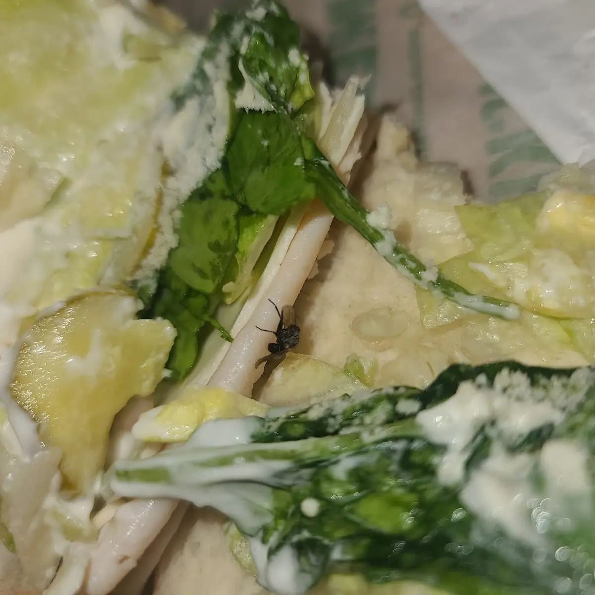 Turkey Sandwich