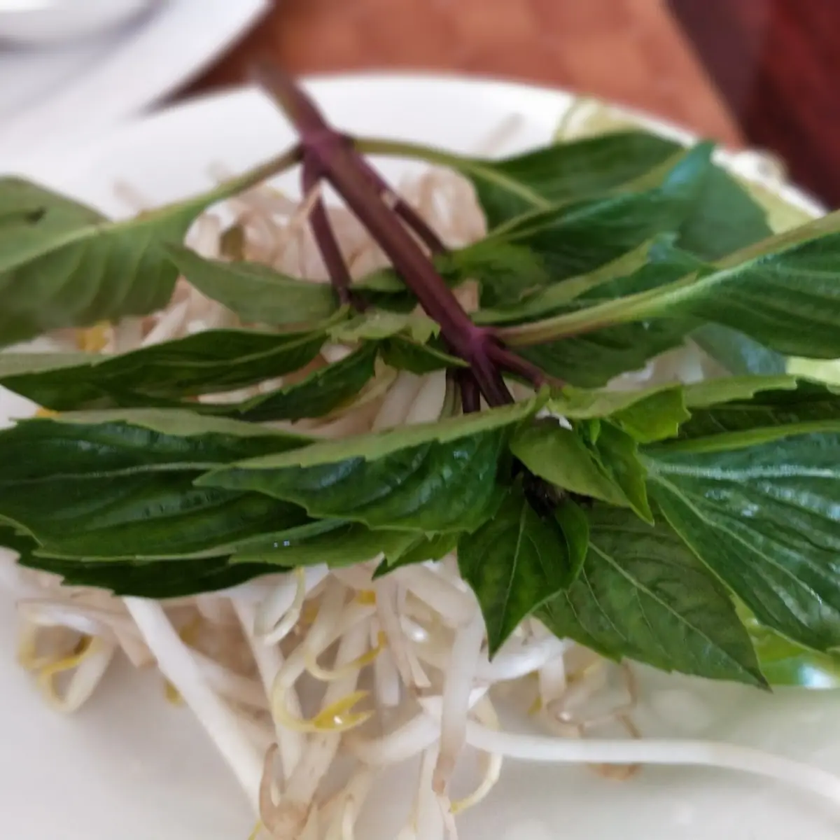 Thai Basil