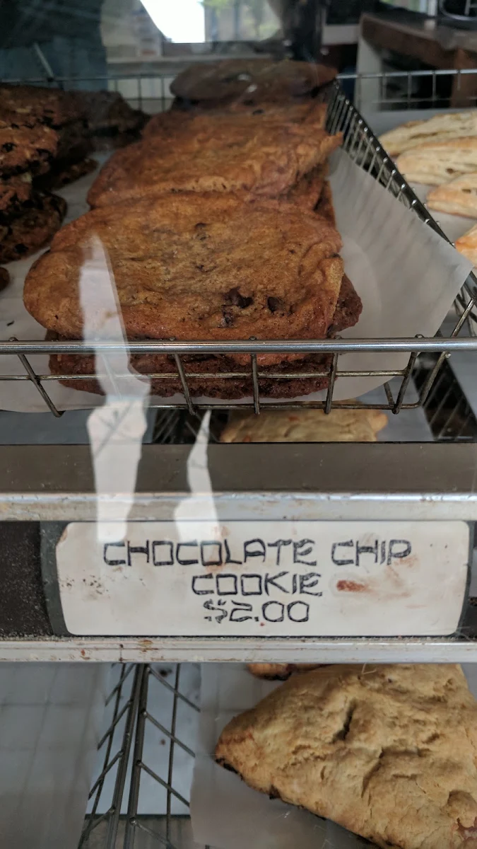 Chocolate Chip Cookie