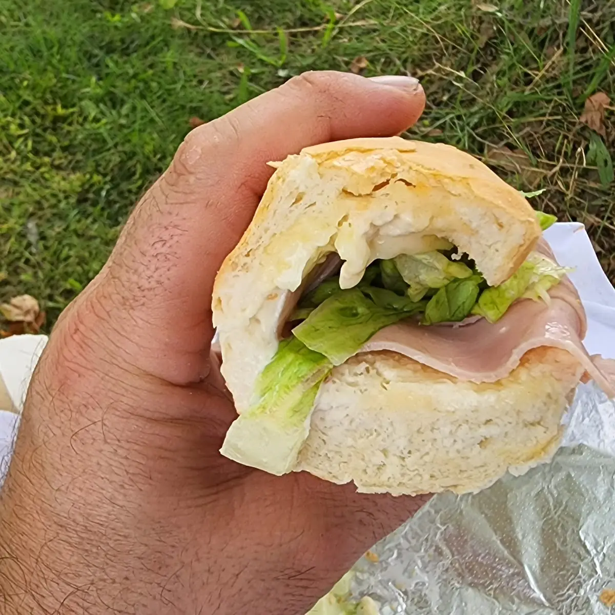 Ham and Cheese Sub