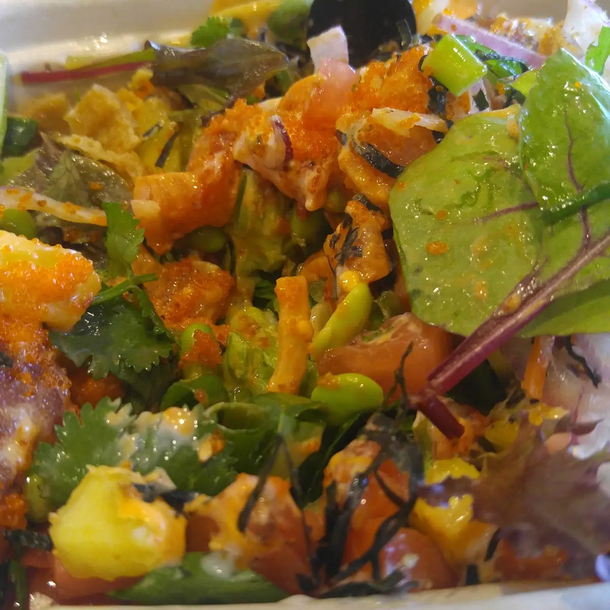 Spicy Salmon Tuna