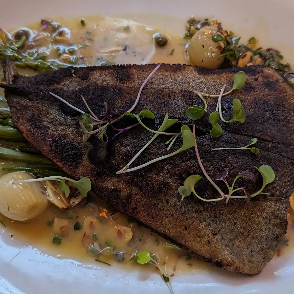 Sea Bass