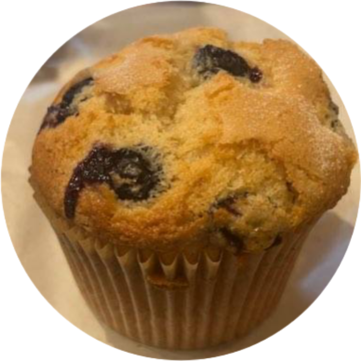 Blueberry Muffin