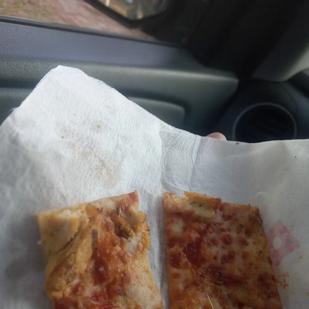 Thin Crust Chicken Pizza