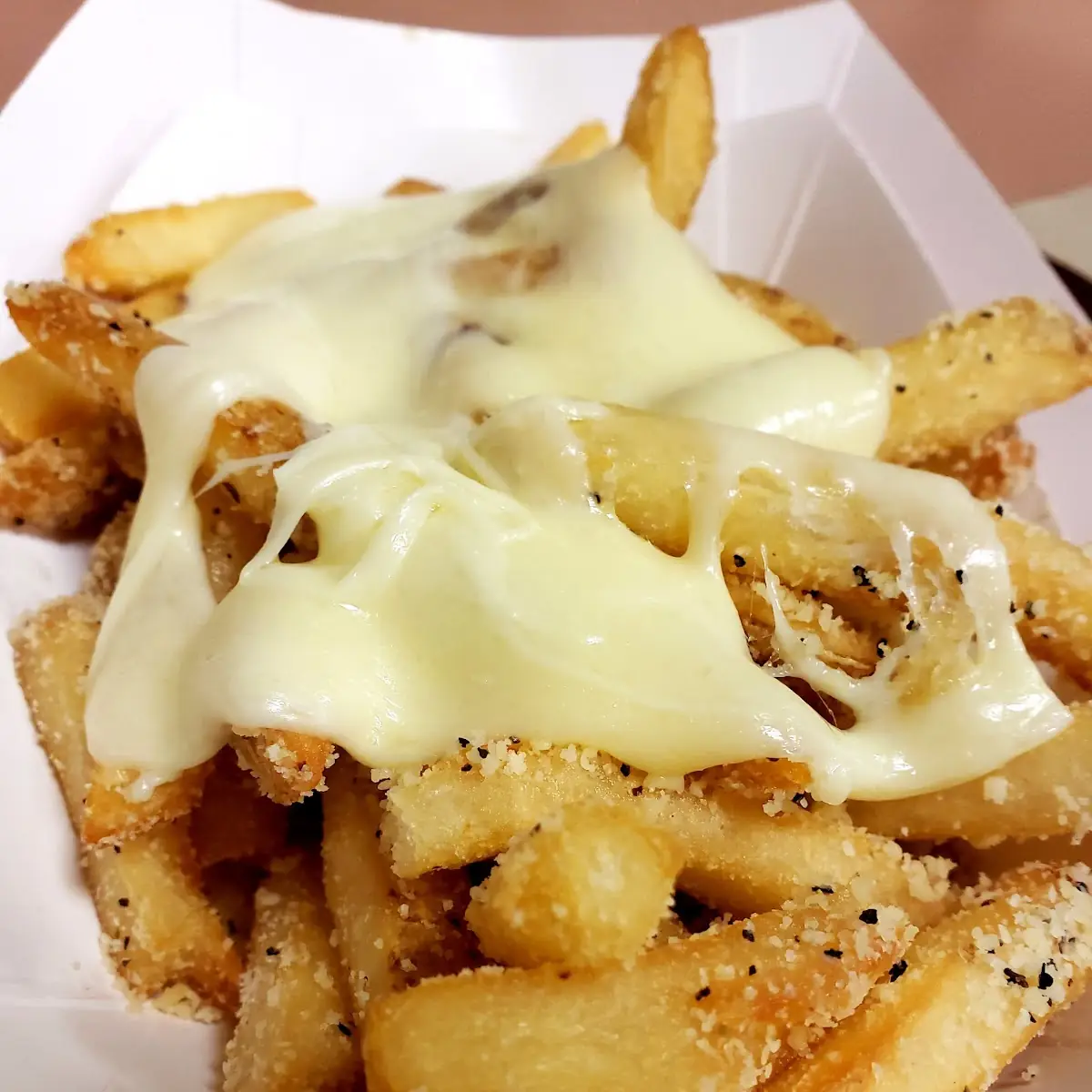 Garlic Parmesan Cheese Fries