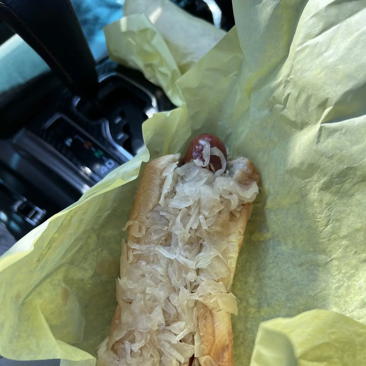 Hot Dog with Chips and Pickles
