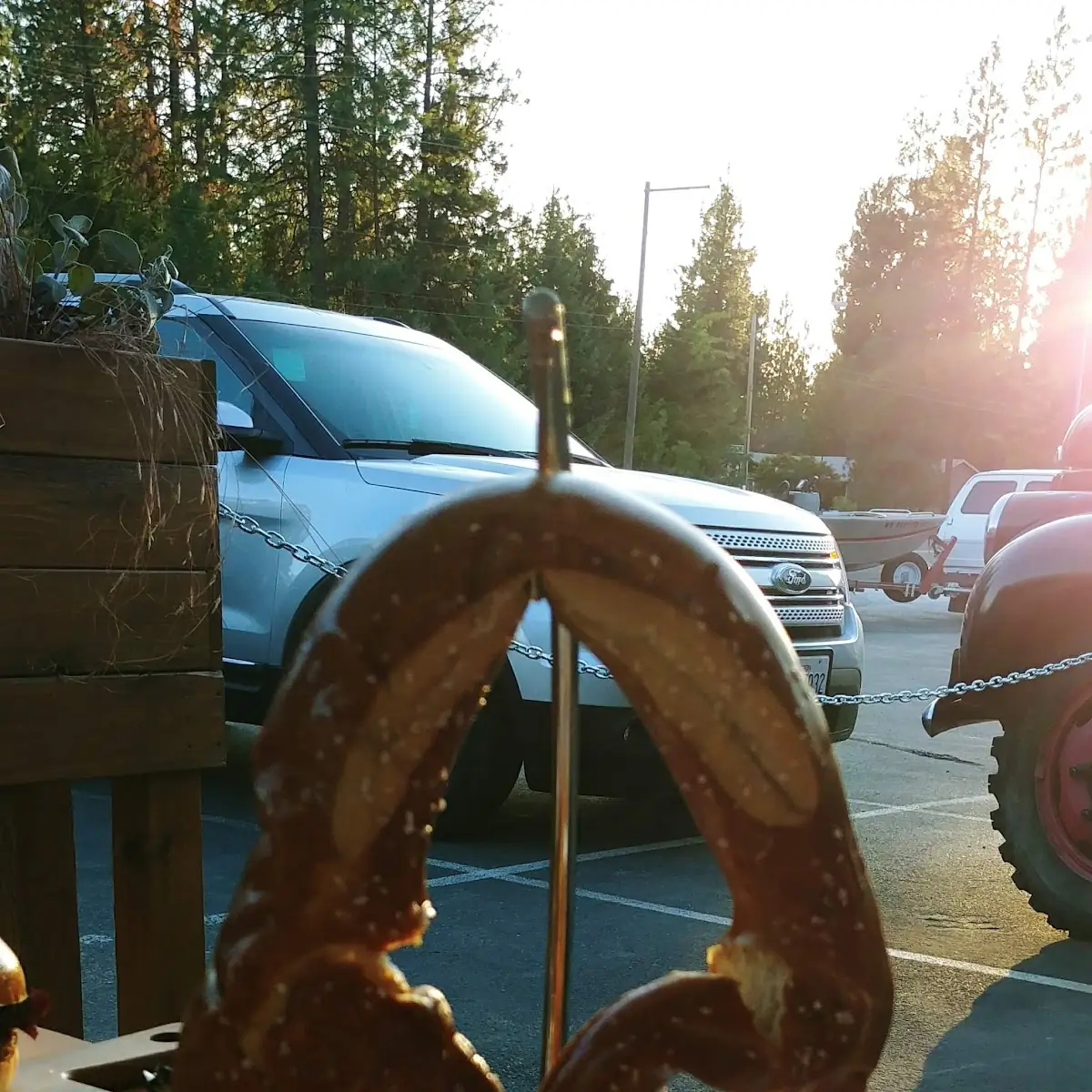 Bavarian Pretzel