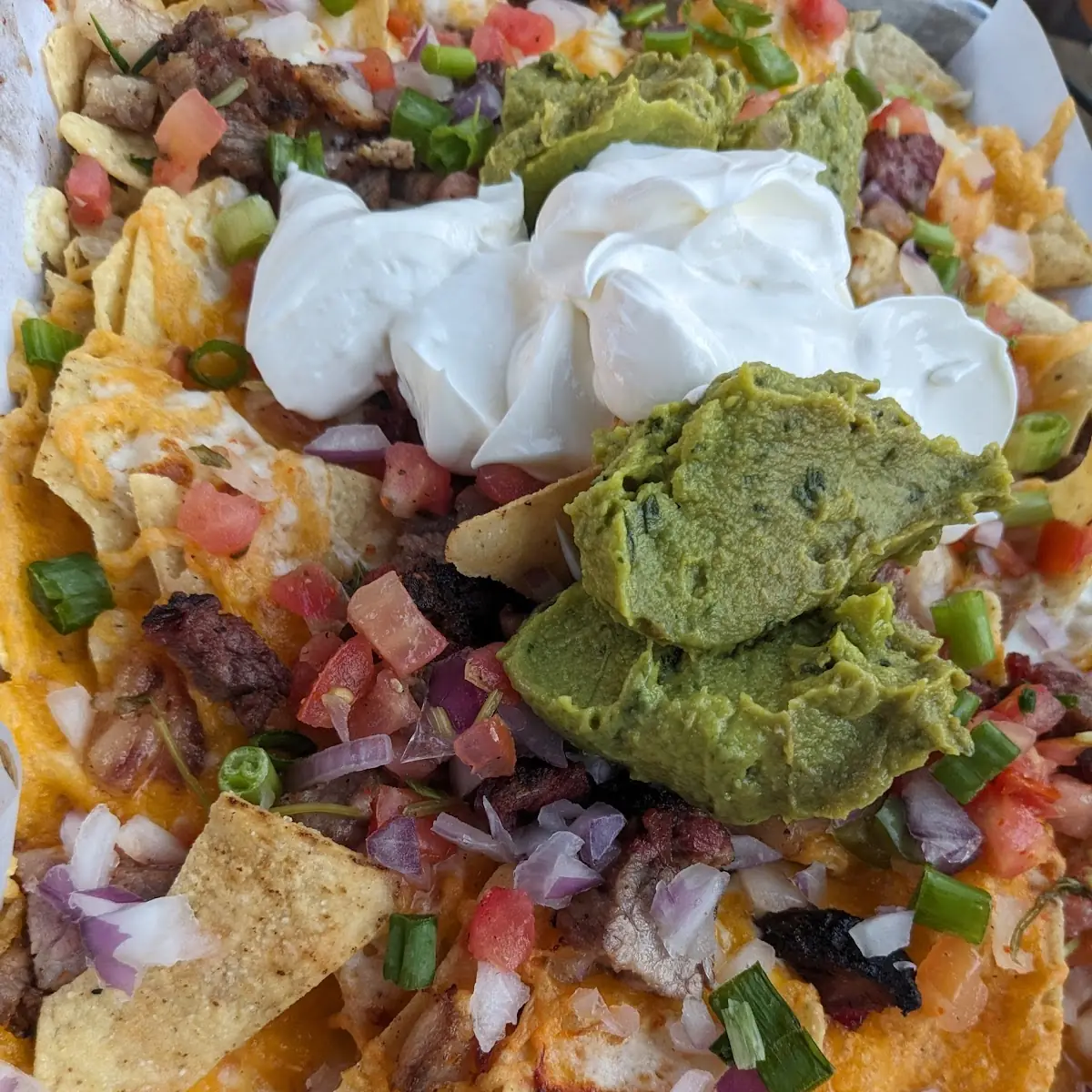 Loaded Nachos