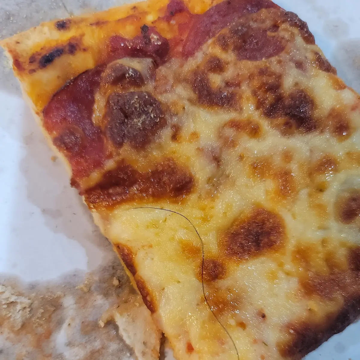 Pepperoni Pizza with Hair