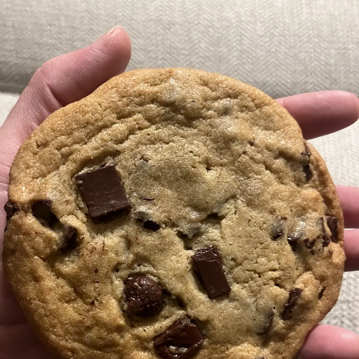 Chocolate Chip Cookies