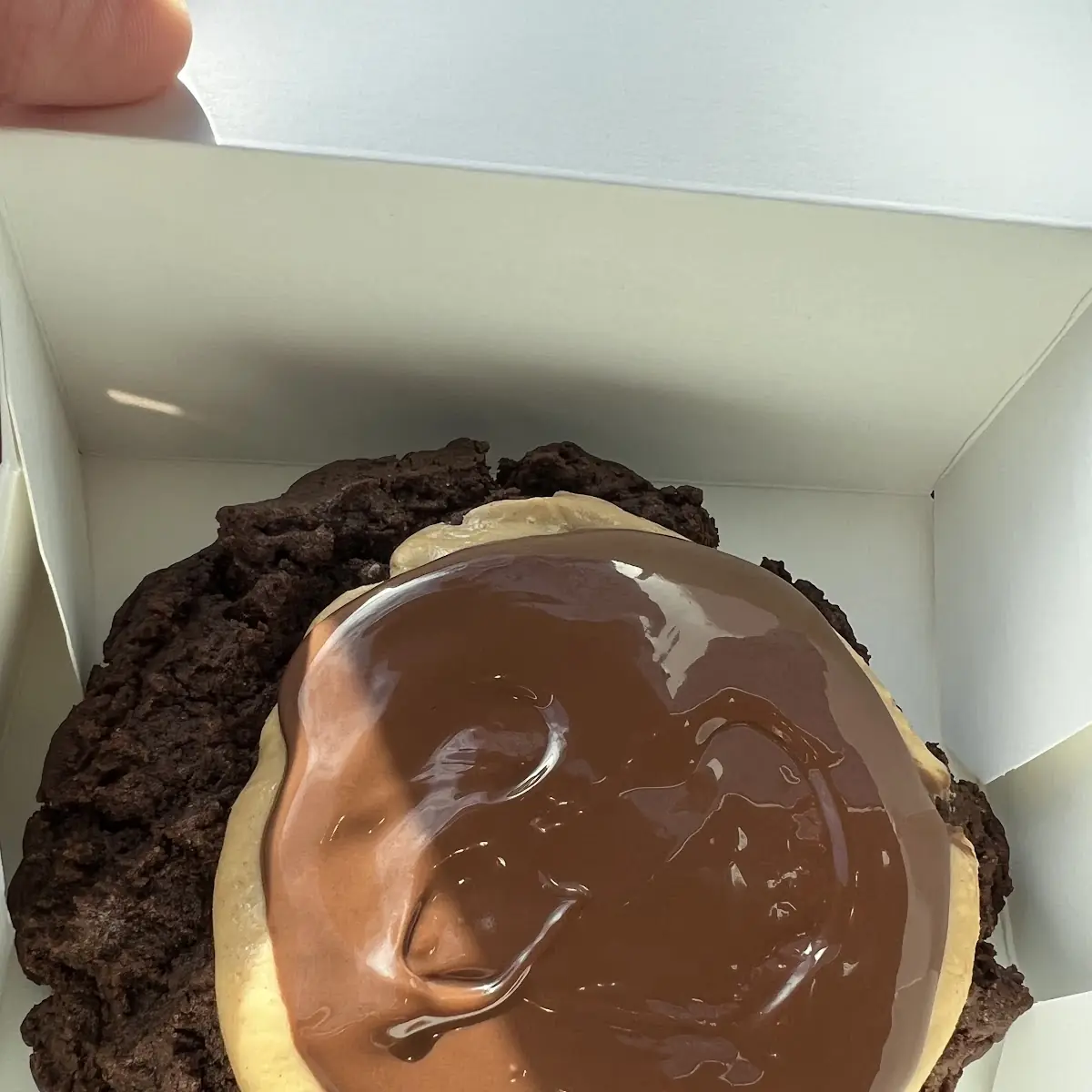 Buckeye Cookie