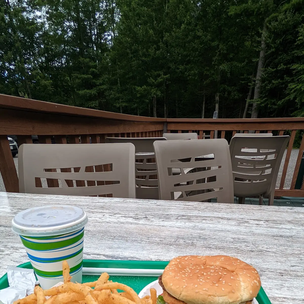 Double Cheeseburger with Onion Rings
