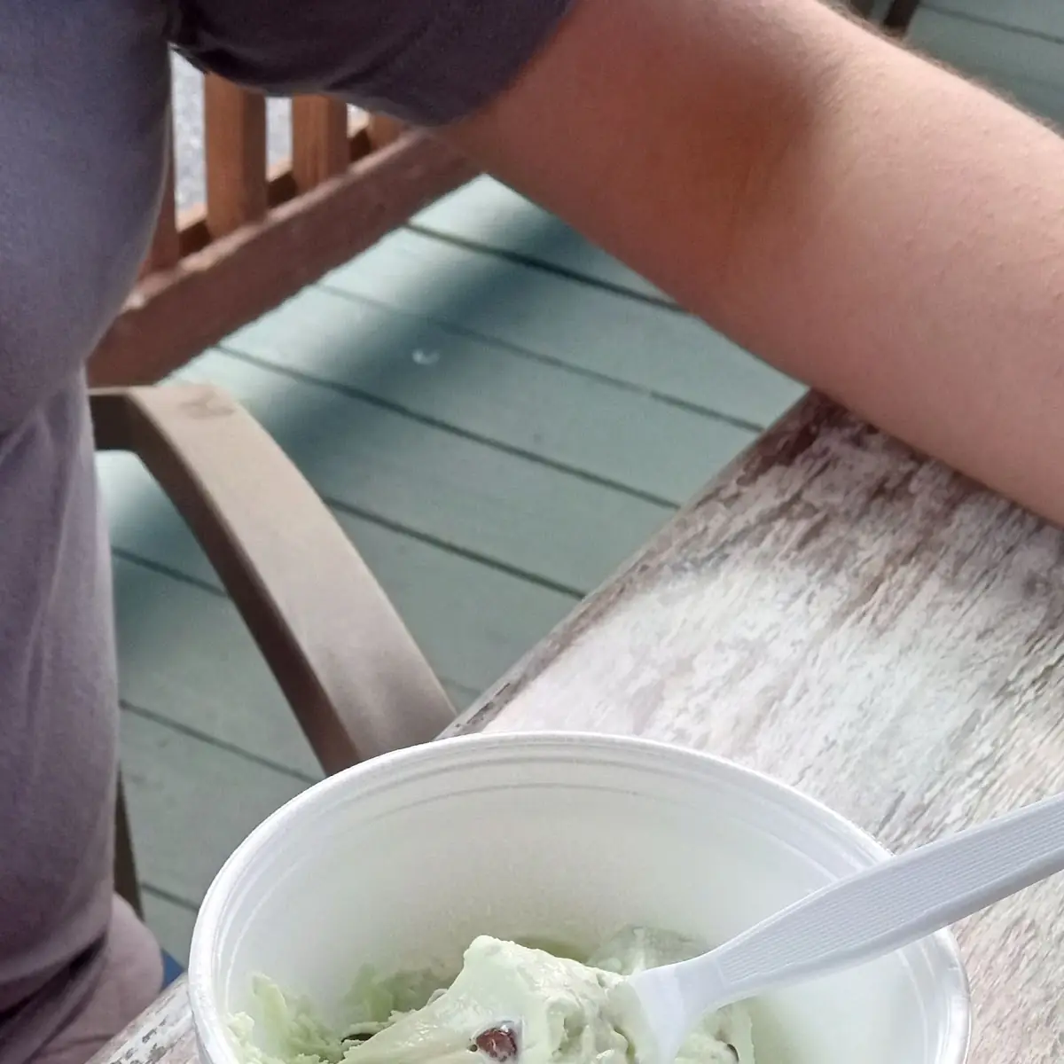 Mint Chocolate Chip Ice Cream