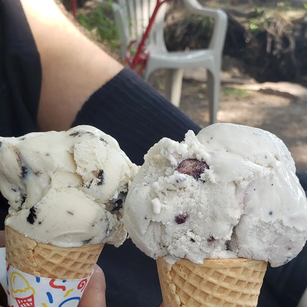 Chocolate Chip and Blueberry