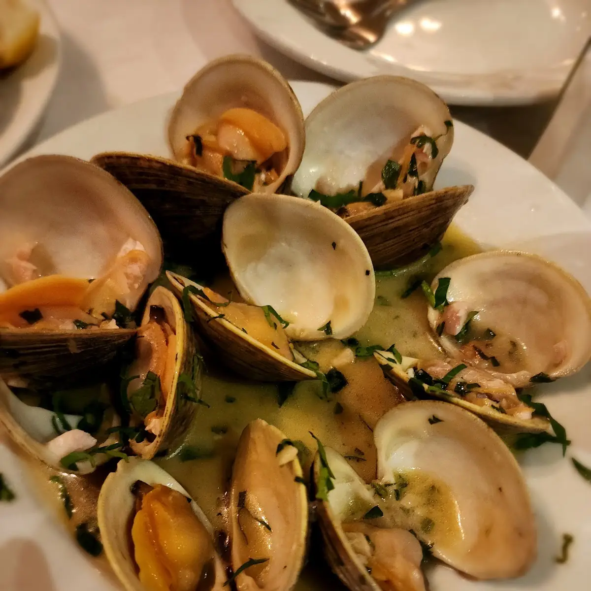 Steamed Clams