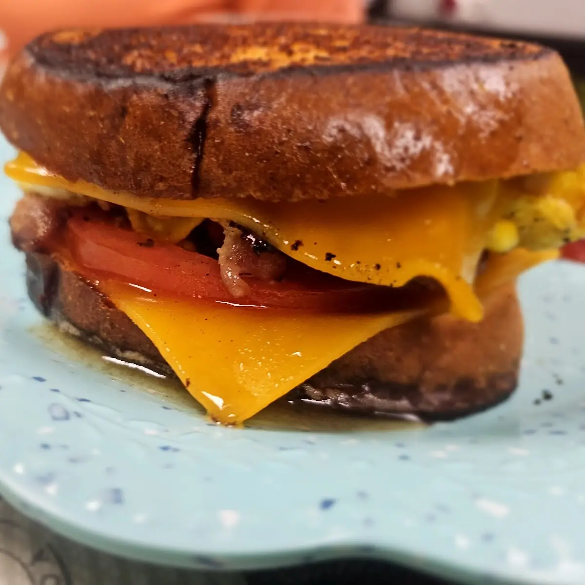 The Bacon Pickle Grilled Cheese Sandwich