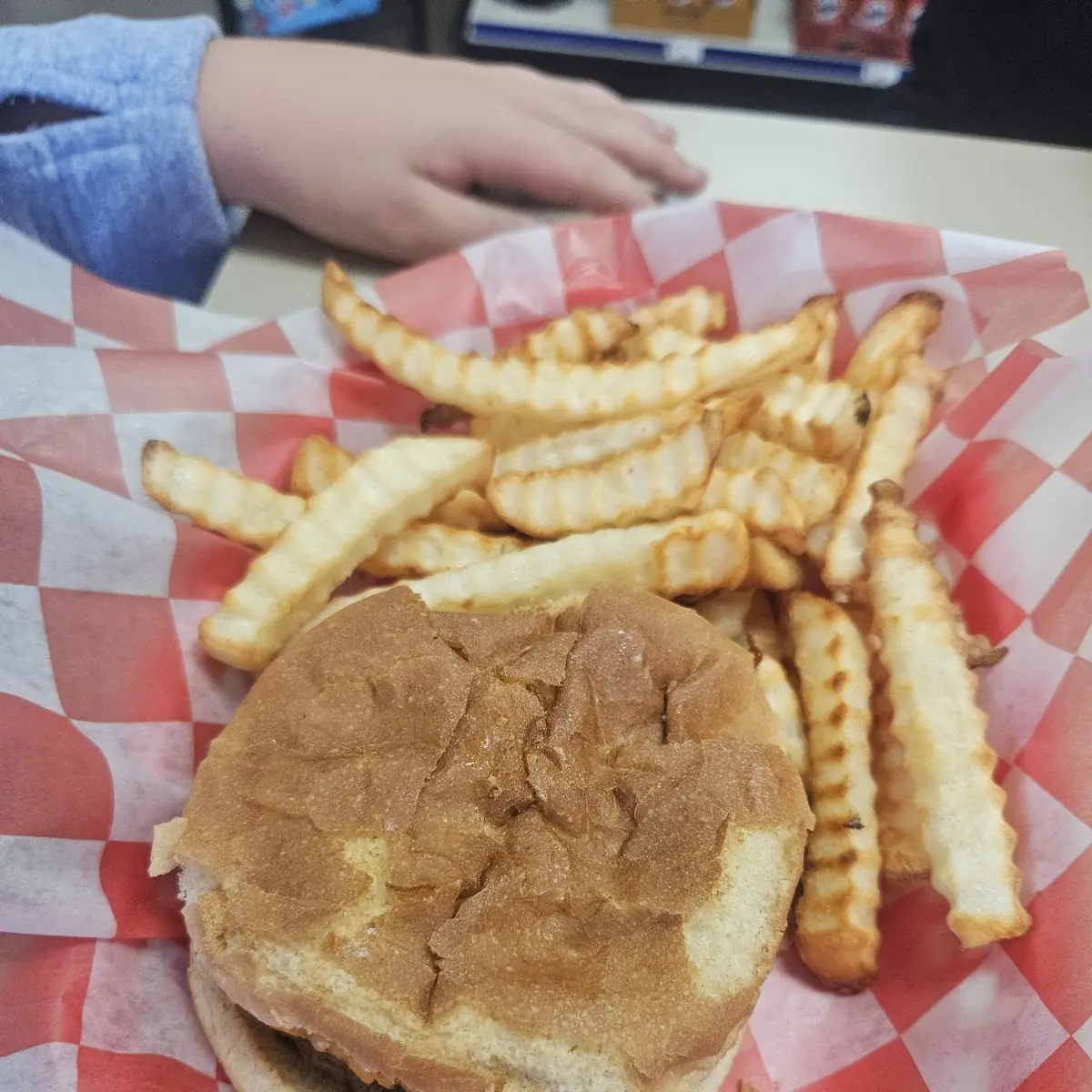 Cheese Burger and Fries