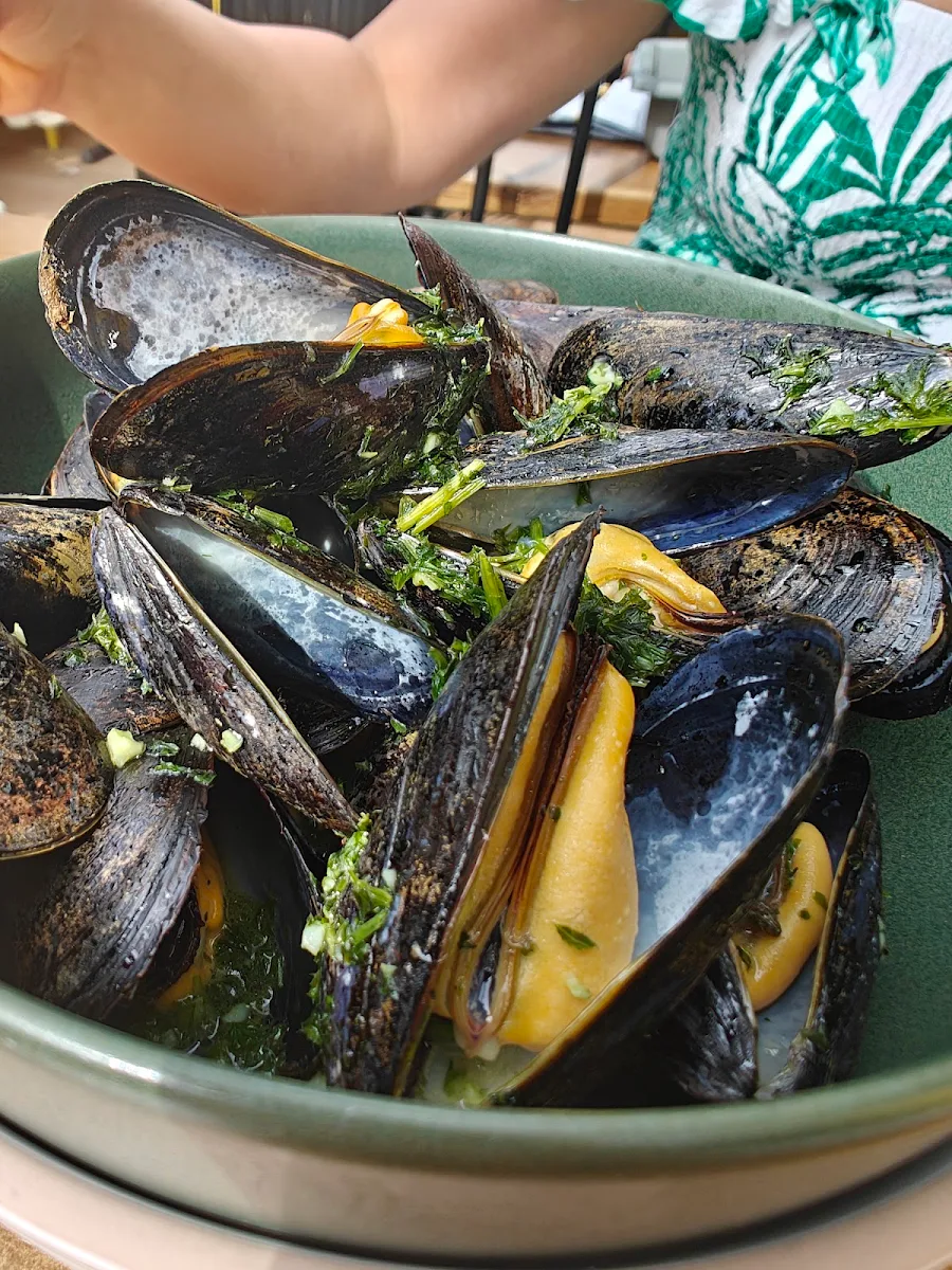 Mussels