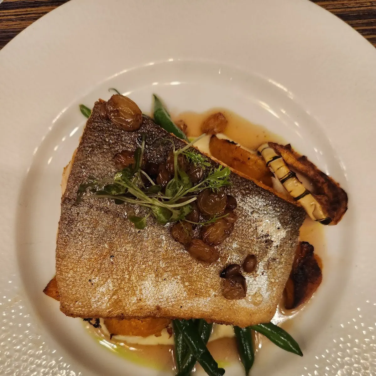 Arctic Char