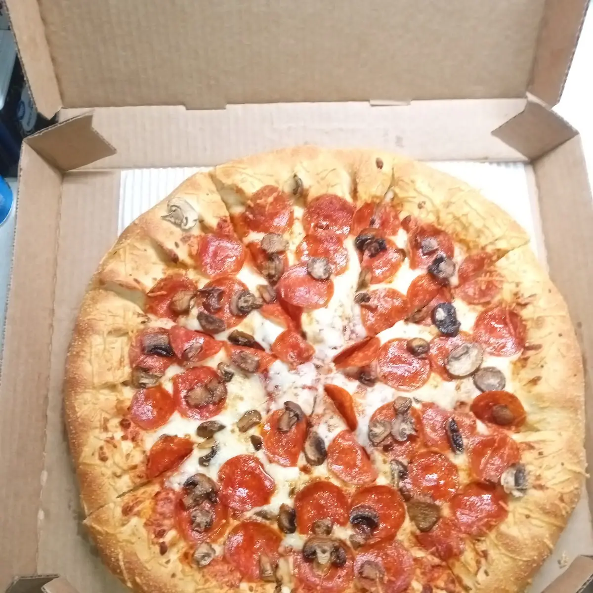 Pepperoni and Mushroom Pizza