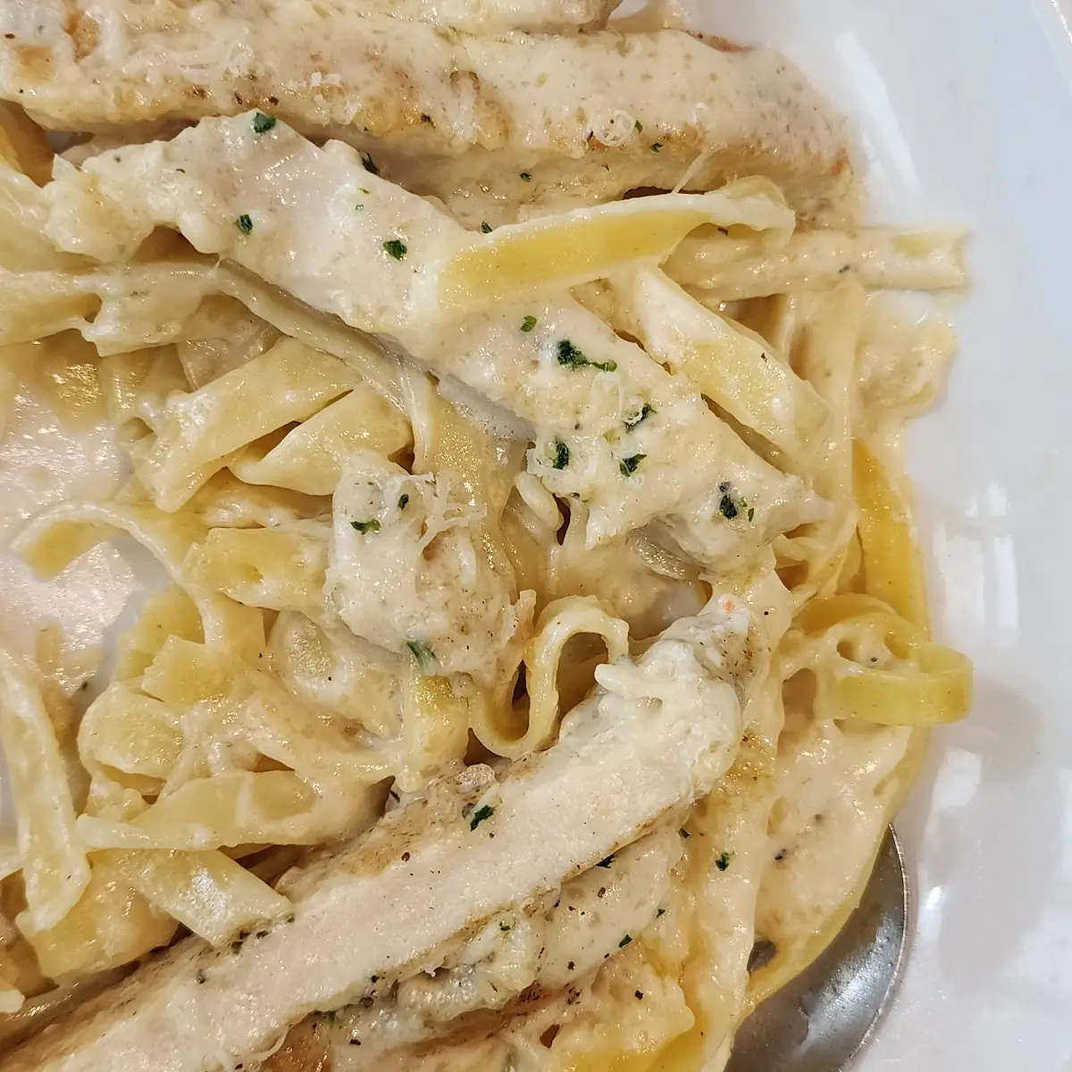 Chicken Alfredo
