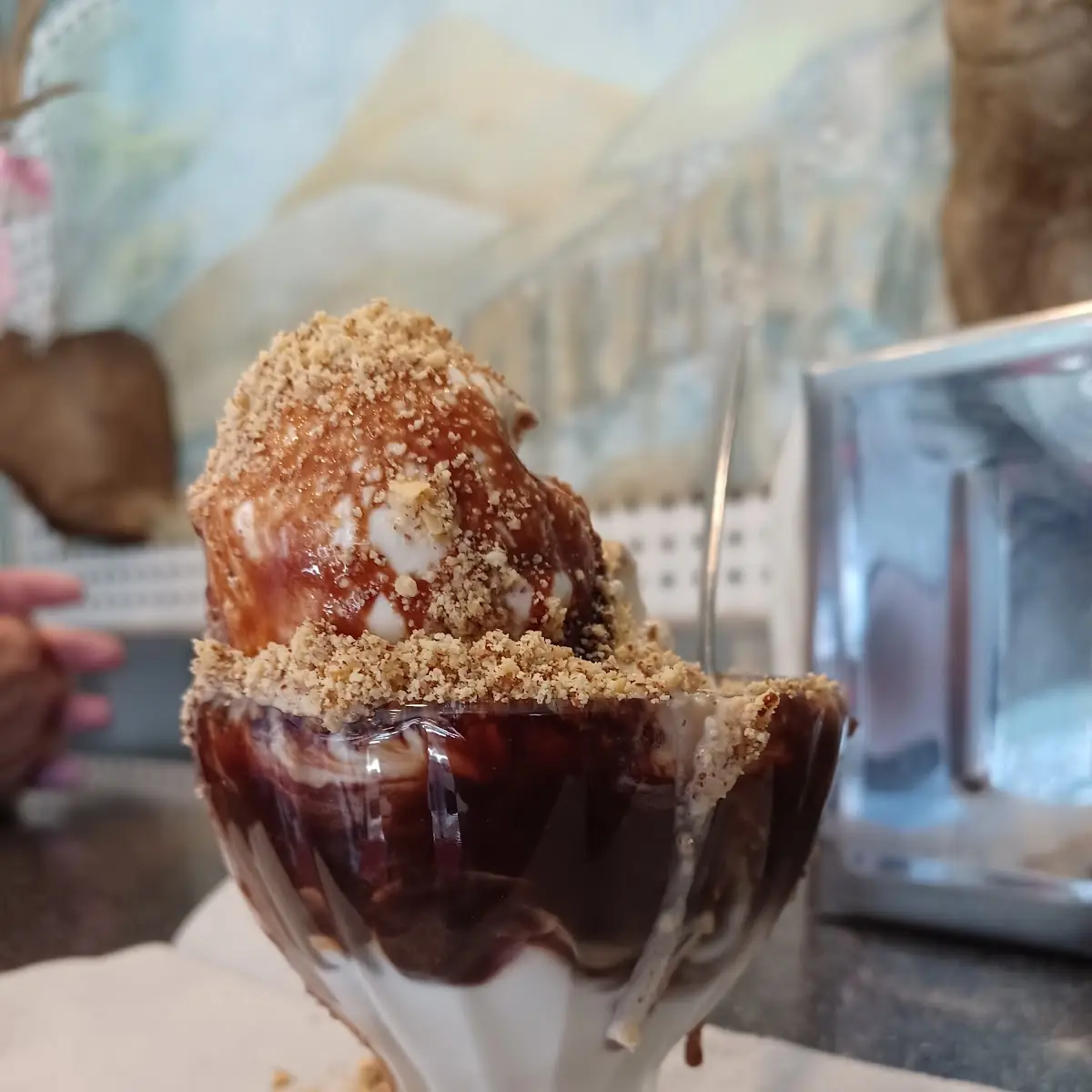 Vanilla Ice Cream with Hot Fudge