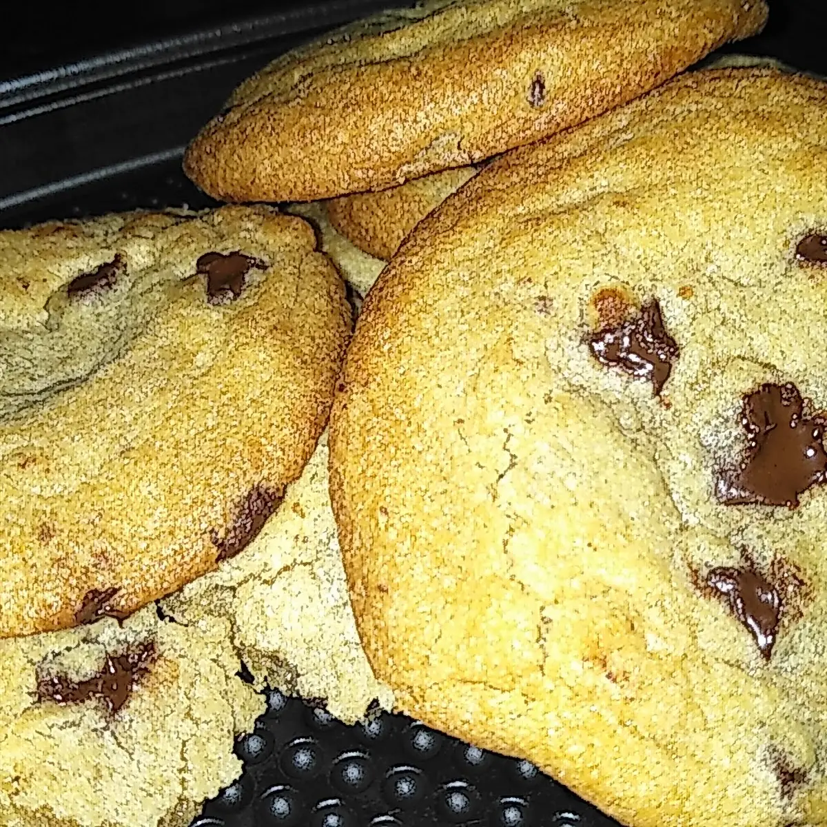 Chocolate Chip Cookie