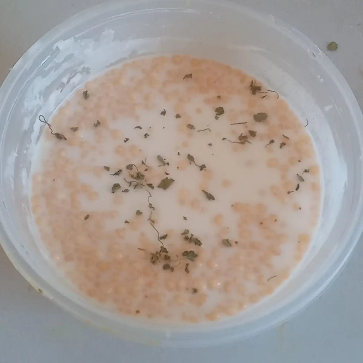 Boondi Raita