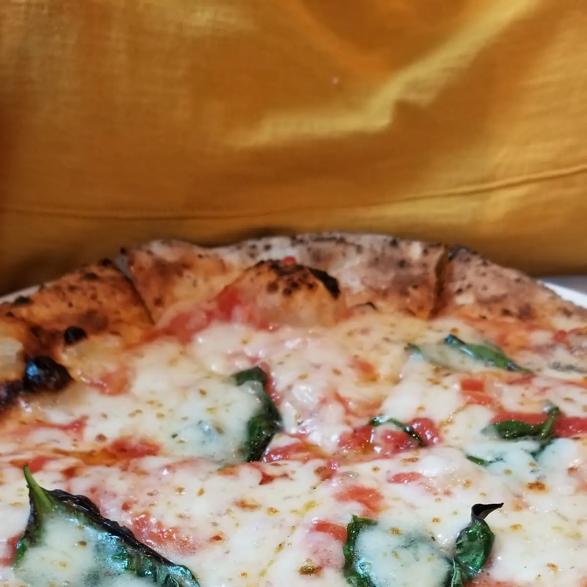 Margherita Pizza