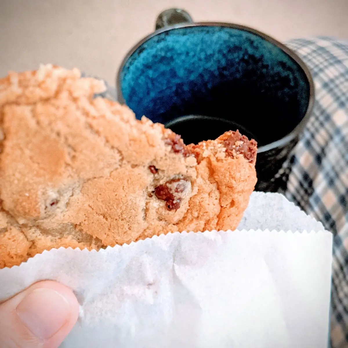 Chocolate Chip Cookie