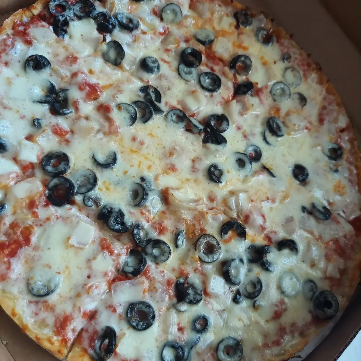 Black Olivesand Onion Pizza