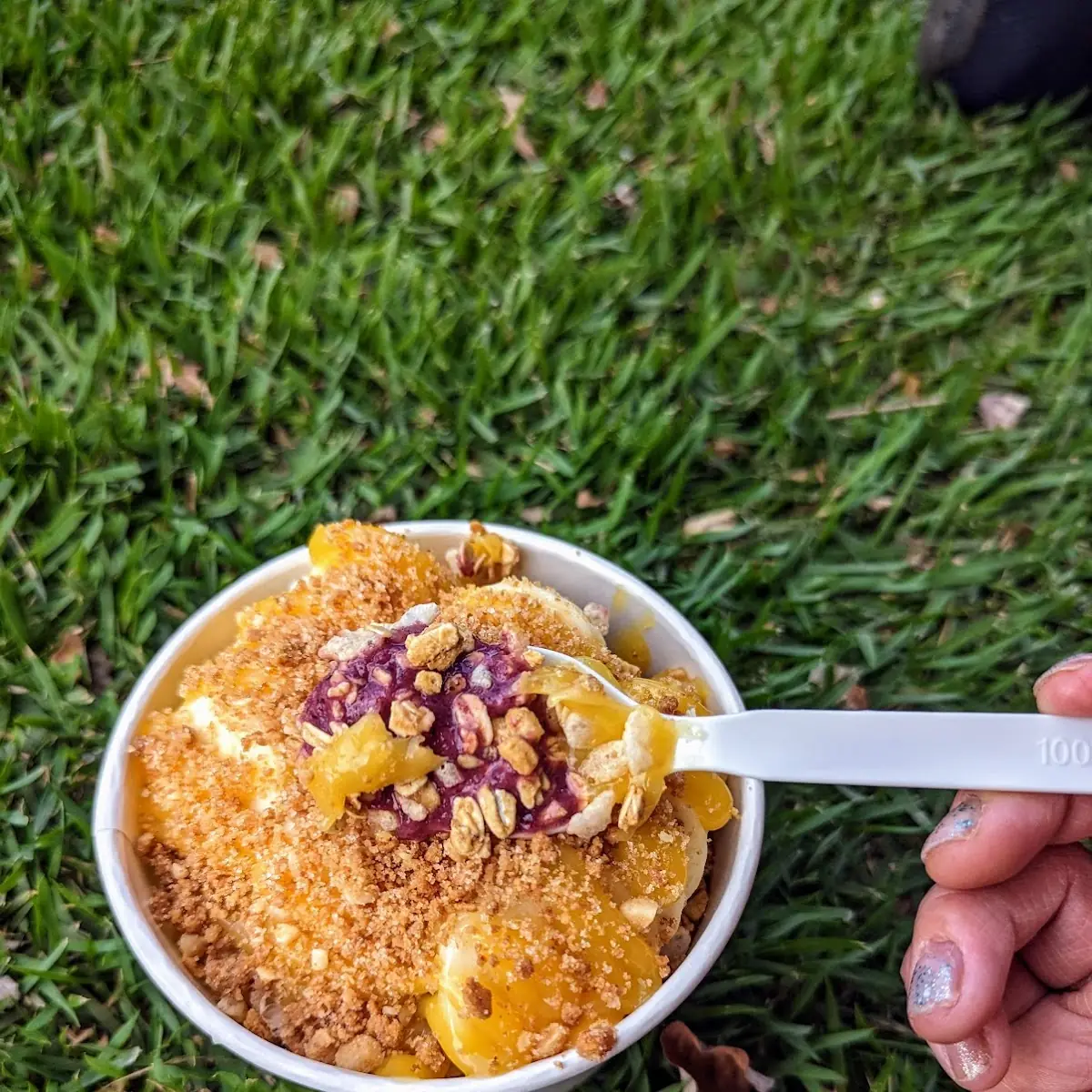 Acai Bowl Seasonal
