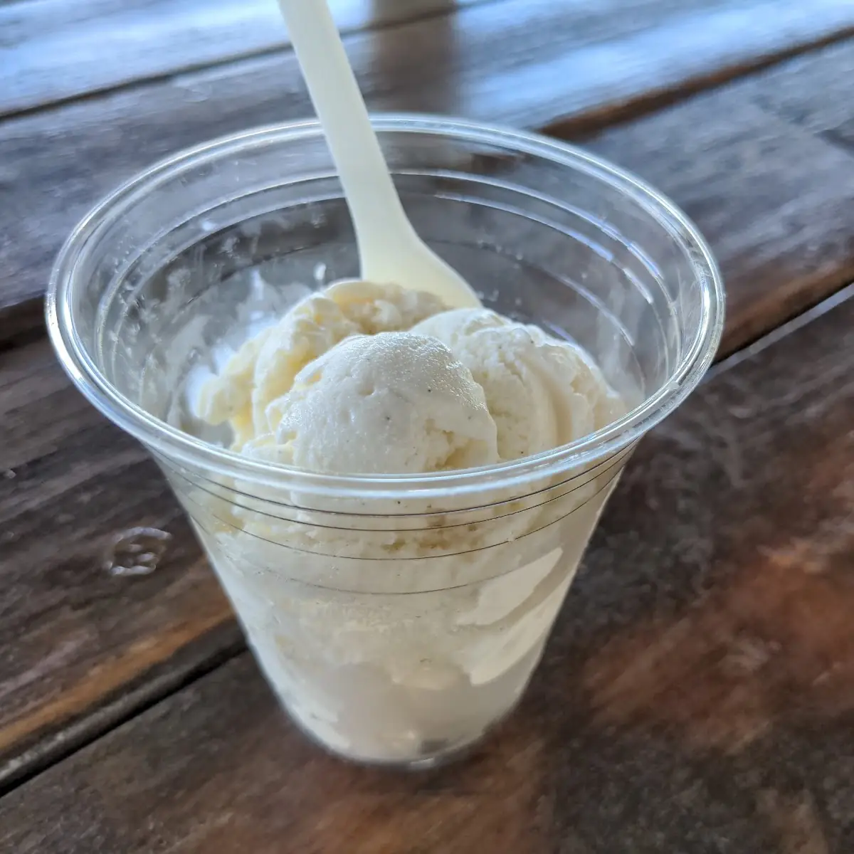 Vanilla Bean Ice Cream