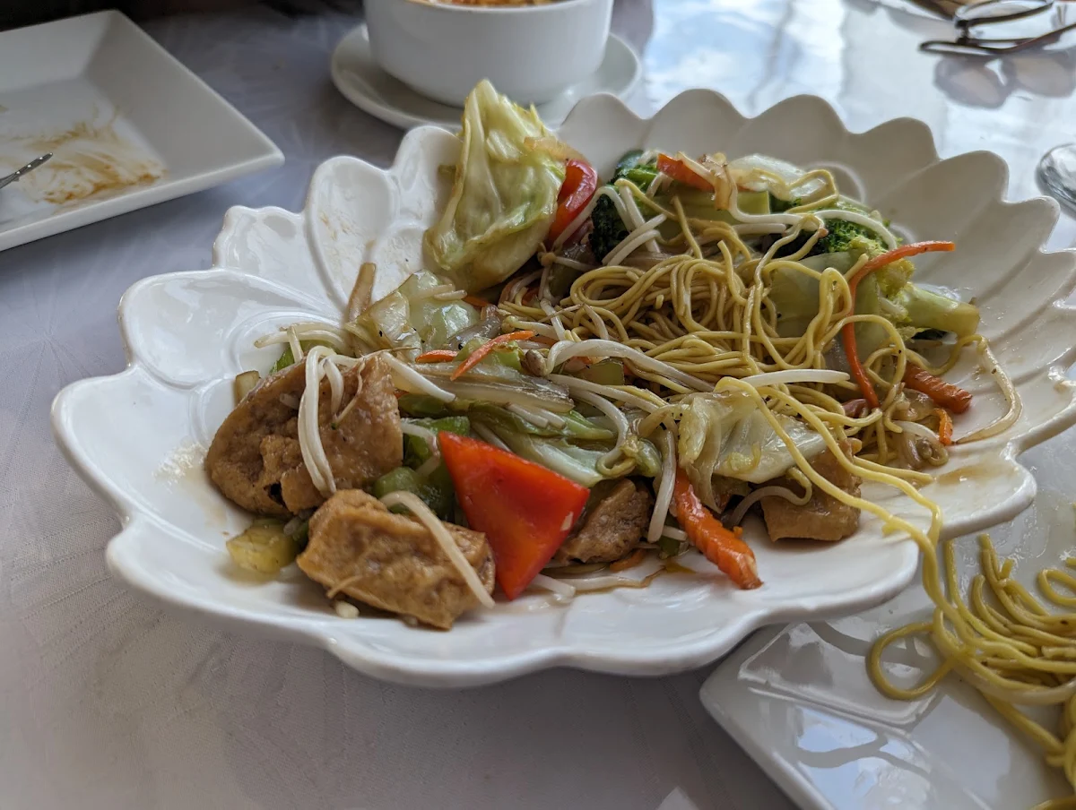 Stir Fried Vegetables with Noodles, Fresh Rolls Restaurant