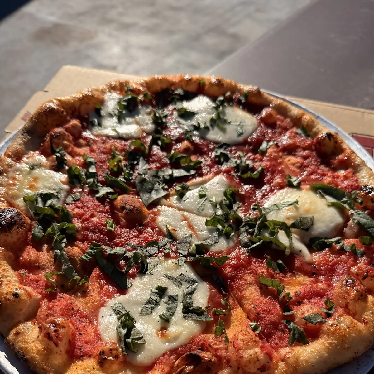 Classic Margherita V